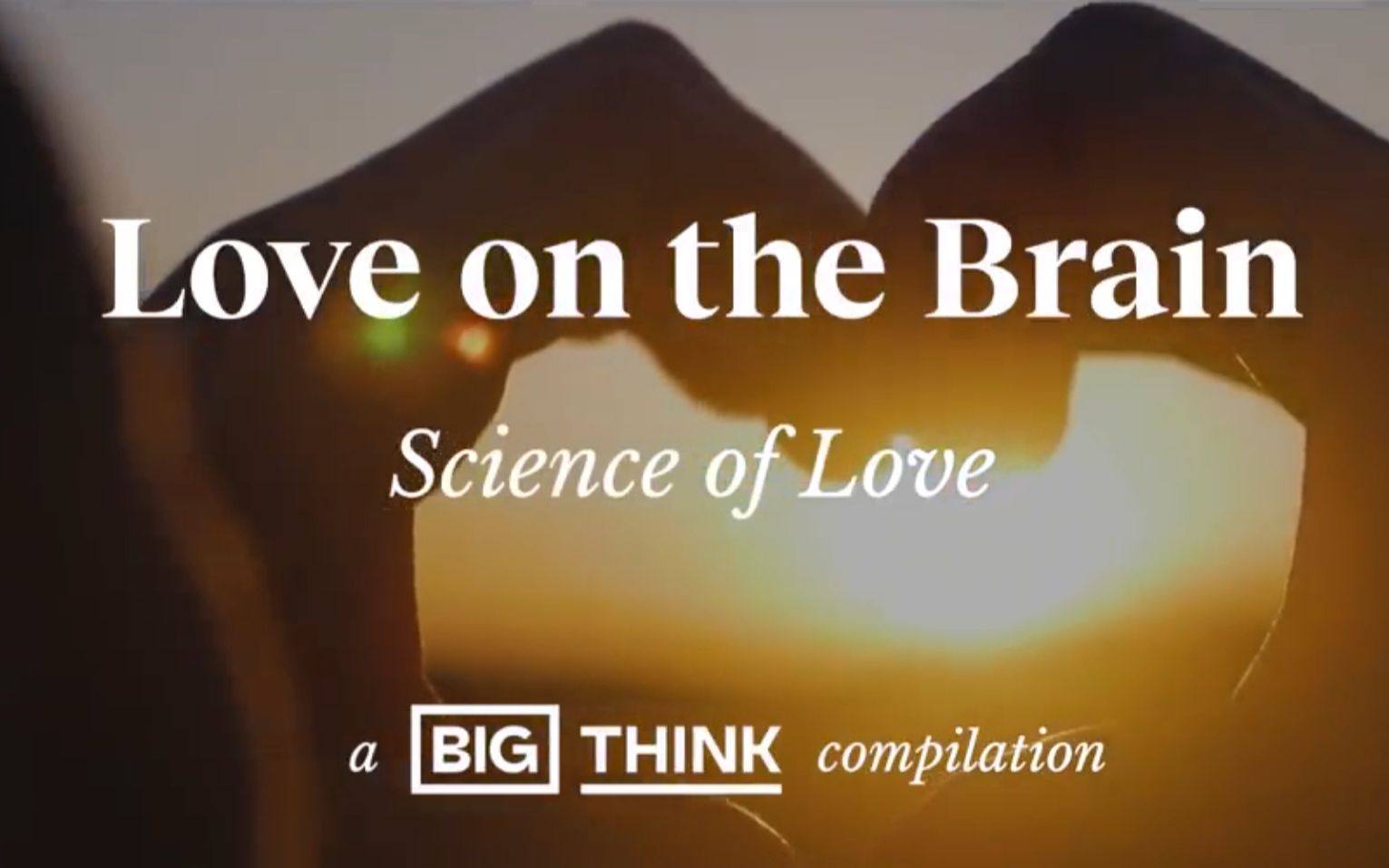 [图]关于性、爱、吸引力和痴迷的科学 The science of sex, love, attraction, and obsession