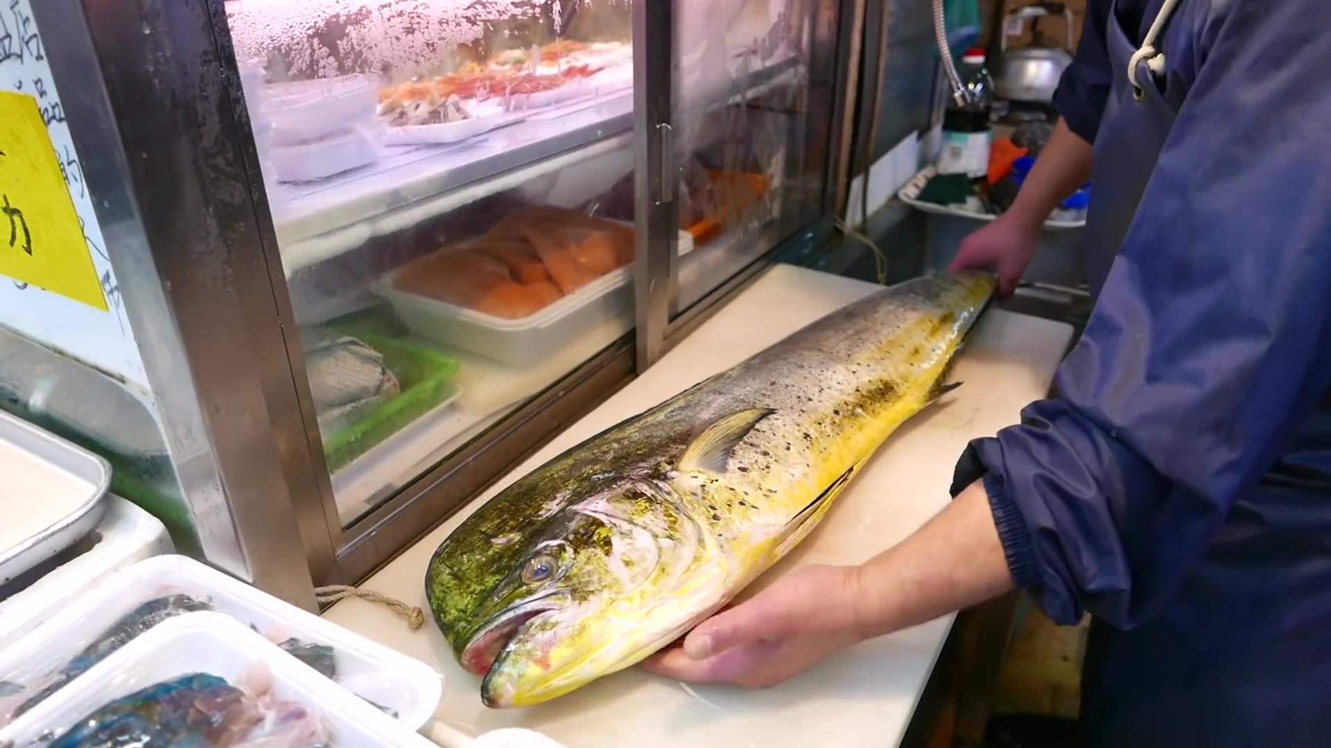 日本街头美食-巨型麻吉鱼日本海鲜_哔哩哔哩_bilibili