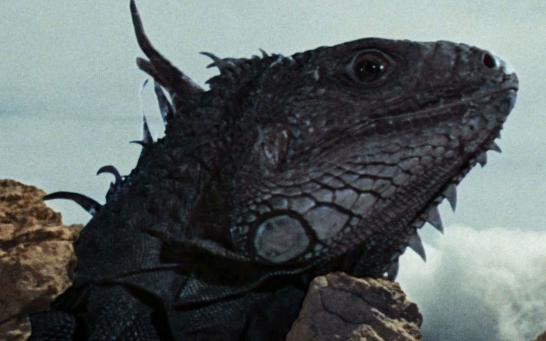 原子恐龙走错片场来到恐龙时代