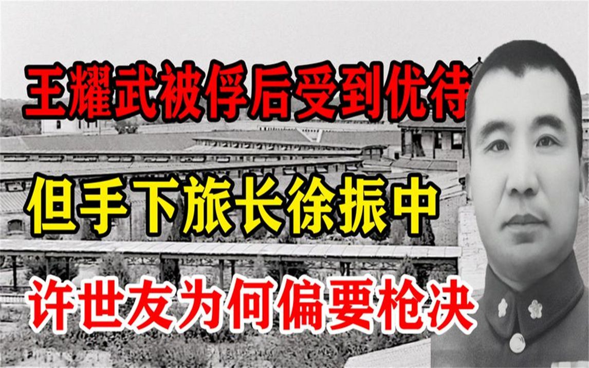 王耀武被俘后受到优待,但手下旅长徐振中,许世友为何偏要枪决?哔哩哔哩bilibili