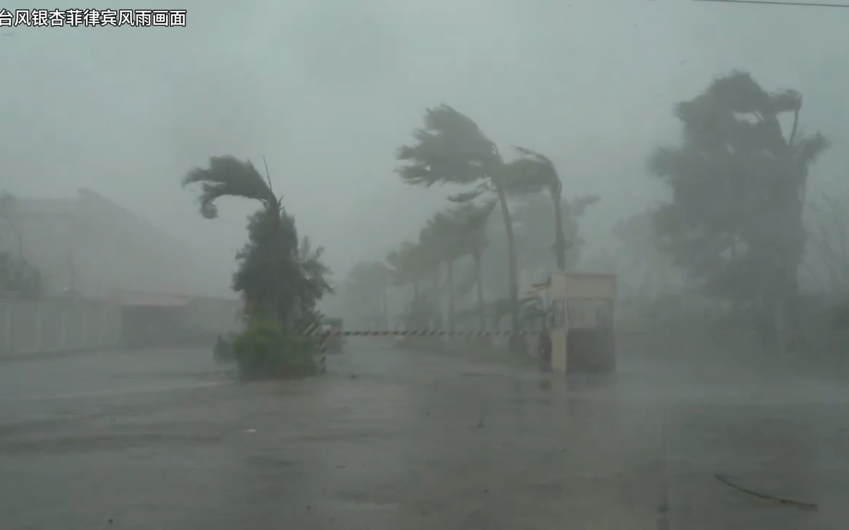 近期台风风雨实况视频合集哔哩哔哩bilibili