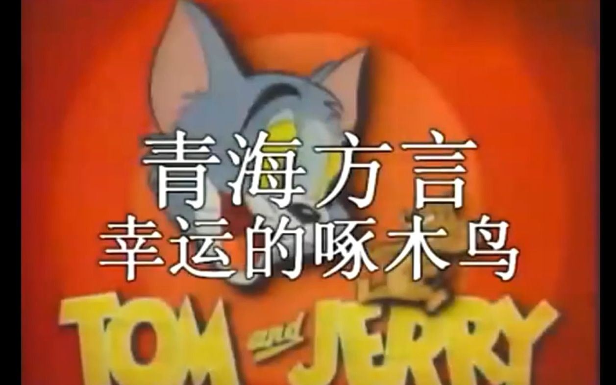 猫和老鼠青海方言8