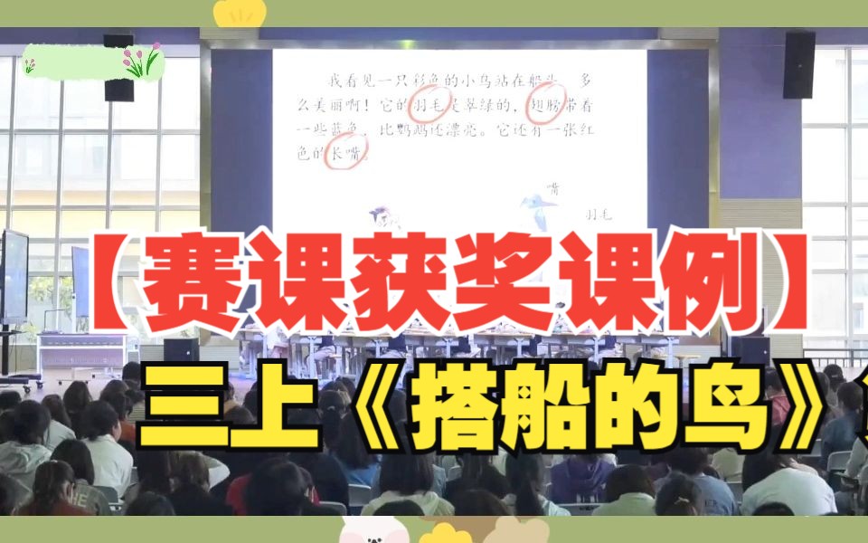 【赛课获奖课例】三上习作单元《搭船的鸟》第二课时公开课(有课件)哔哩哔哩bilibili