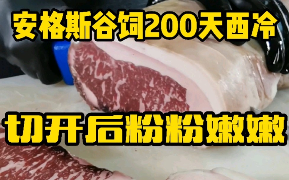 牛肉的熟成:指将新鲜的牛肉类放在指定的温度、湿度下自然发酵,使其更具有风味、更柔软易嚼. #干式熟成牛排哔哩哔哩bilibili