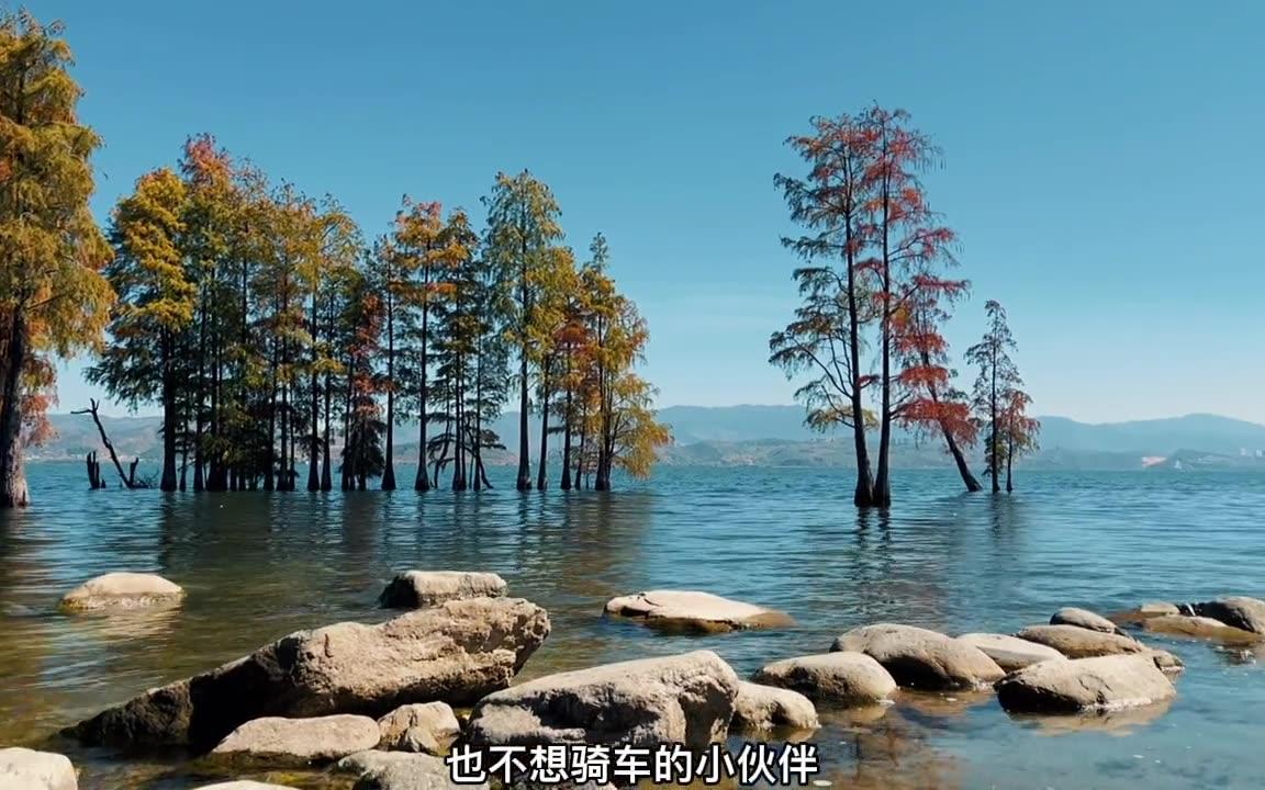 洱海全攻略!旅游指南!洱海实录!哔哩哔哩bilibili