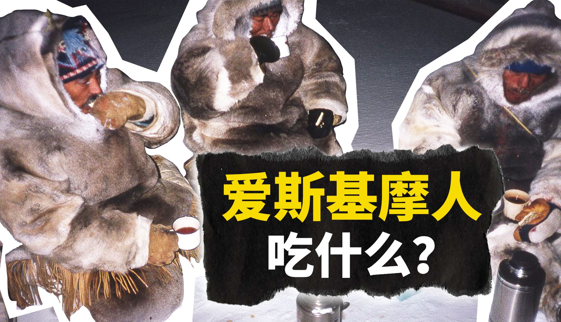 嘬海鸟的屁屁,品海象胃里的贝类,吃鲸鱼的脂肪?极地严寒里因纽特人/爱斯基摩人饮食大赏【叮叮猫不咬人】-叮叮猫不咬人-叮叮猫不咬人-哔哩哔哩视频