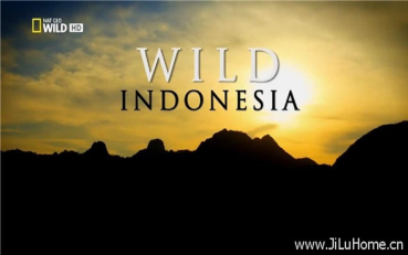 国家地理 印尼野生大地wild Indonesia 全3集英语中字