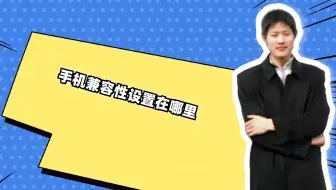 手机兼容性设置在哪里