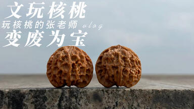 顽点东西/龙门涧一个新手玩家关于文玩核桃的分享（二）_哔哩哔哩_bilibili