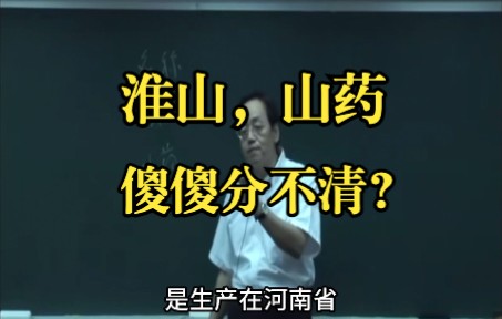 淮山、山药,傻傻分不清?哔哩哔哩bilibili