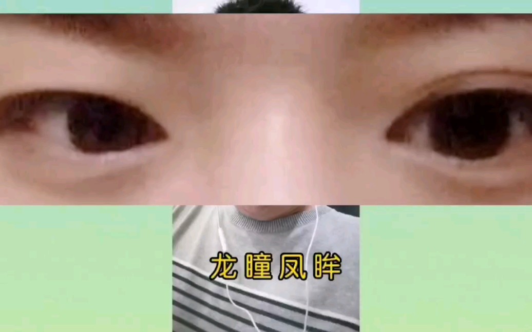 龙瞳凤眸哔哩哔哩bilibili