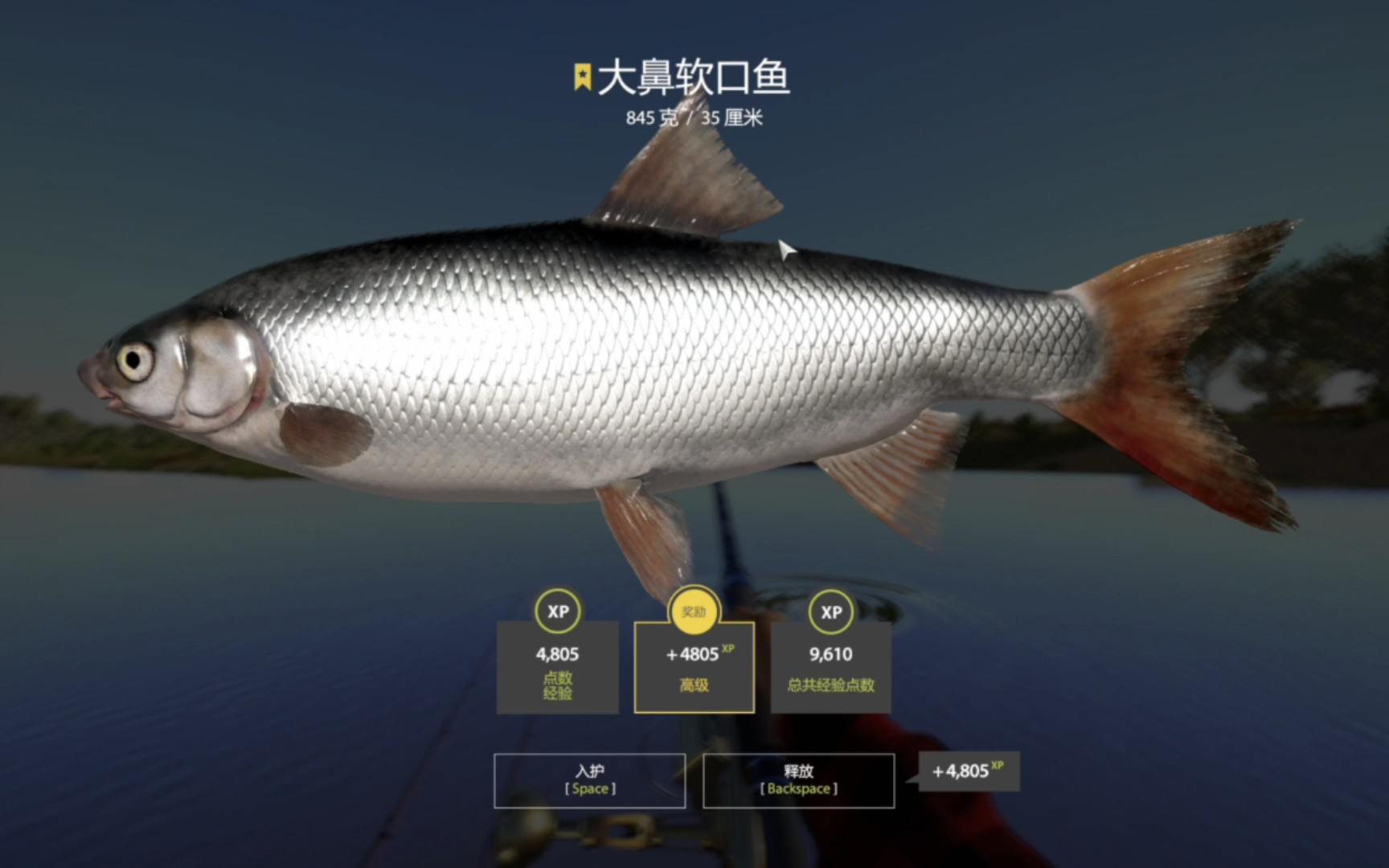 俄钓4-阿赫图巴河-大鼻软口鱼