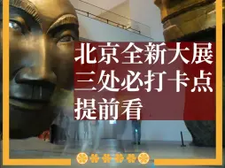 Download Video: 民生大展国庆开幕 三处必打卡点推荐