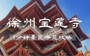 Descargar video: 徐州旅游｜值得一去的宝莲寺祈福全攻略❗️