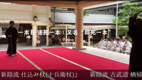 趣味演武 柳生新阴流逆风 哔哩哔哩
