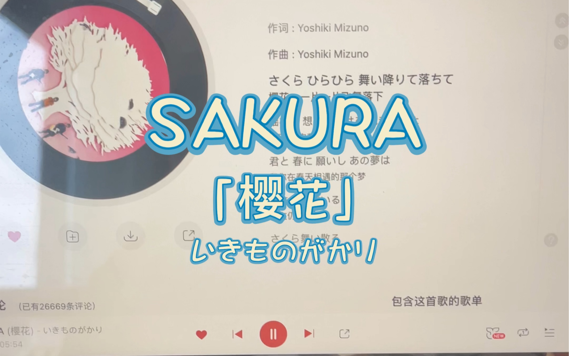 SAKURA「樱花」翻唱哔哩哔哩bilibili