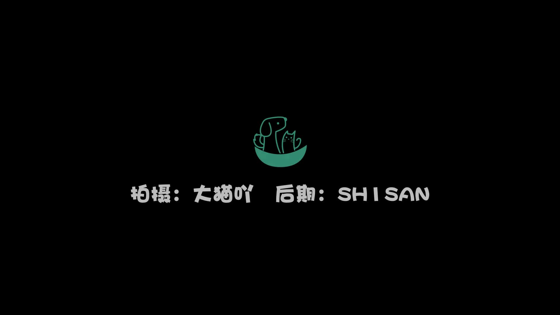 【萌宠在线】三里畈温泉一日游 带你去沙雕公园看沙雕~哔哩哔哩bilibili