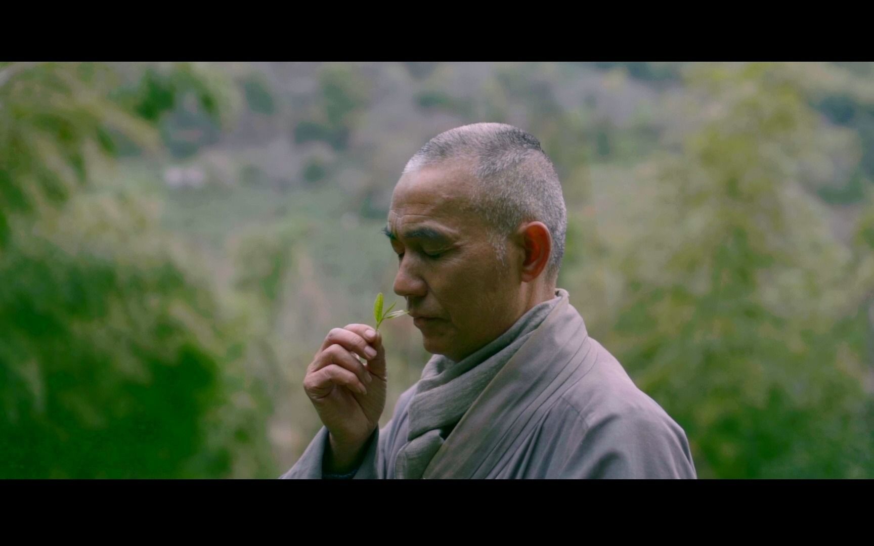 天上云居处禅宗秘境中万物皆修行伴竹韵沁兰香终得茶禅一味云居攒林