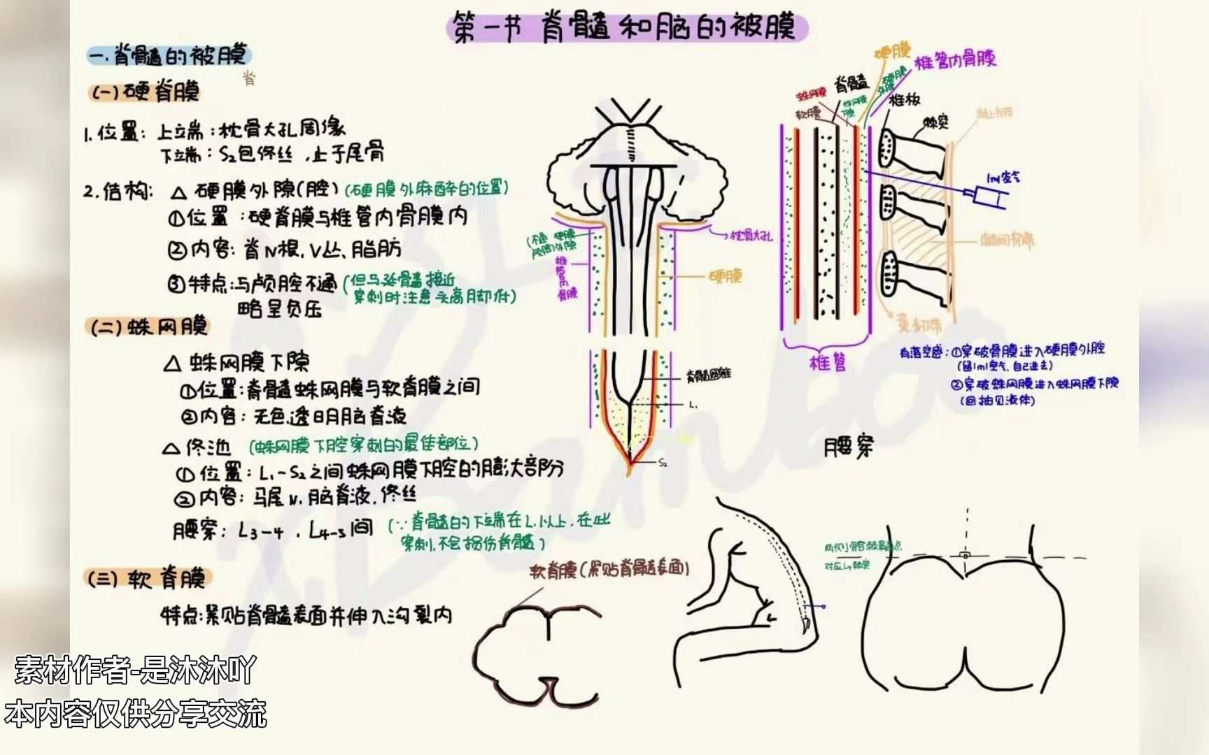 [图]解剖学笔记-神经系统 脊髓和脑的被膜