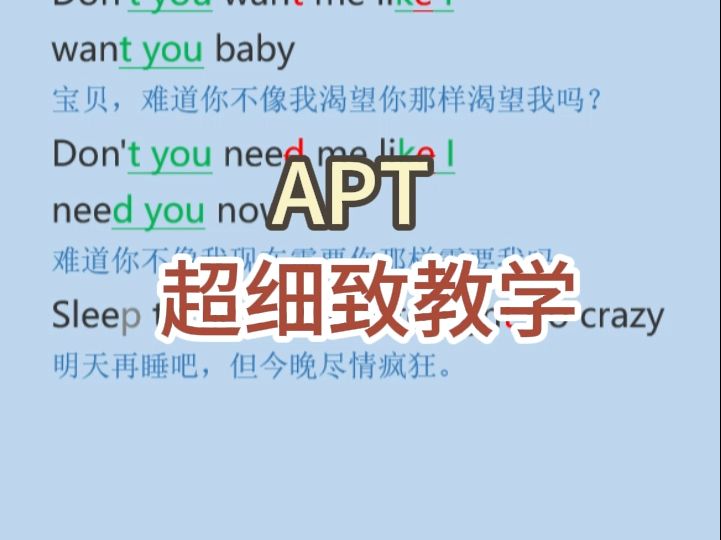 APT 教学 细致讲解版哔哩哔哩bilibili