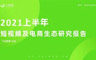 上半年短视频及电商生态研究报告