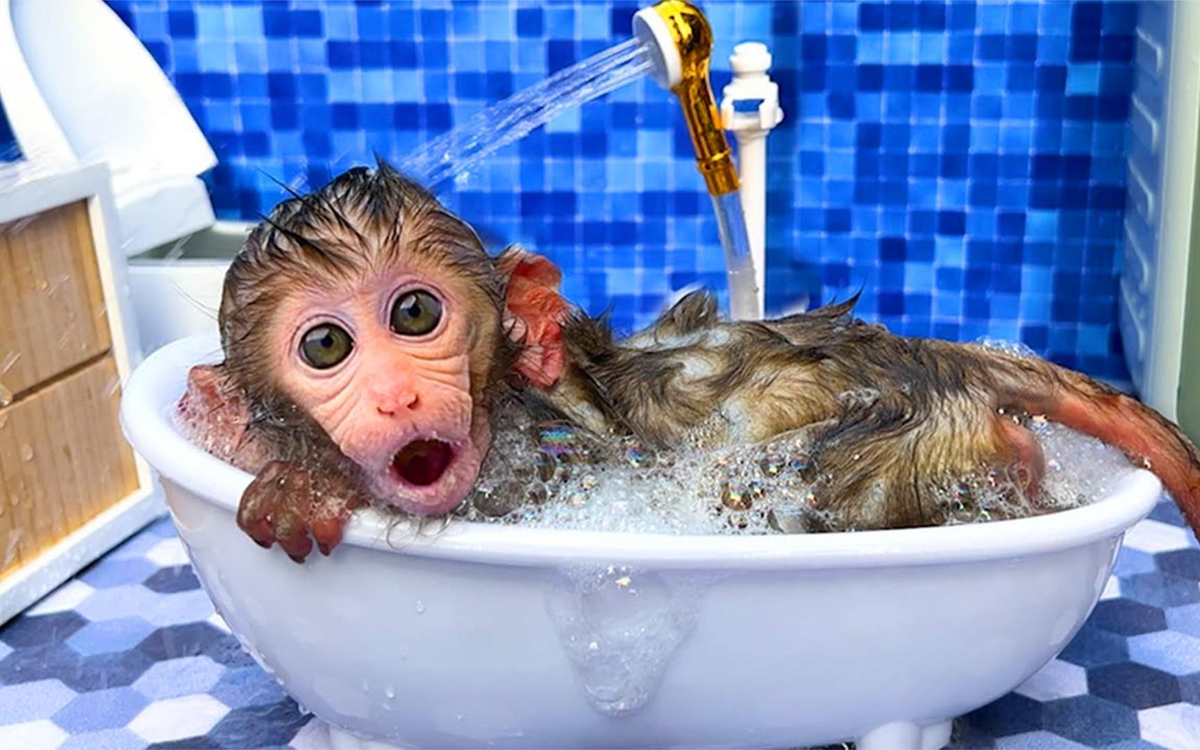 小猴子乐园:小猴子刚从农场丰收回家,立马在浴缸里悠闲沐浴!
