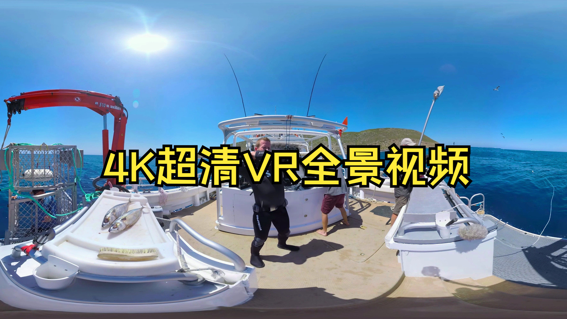 【4K超清360ⰮŠVR全景视频体验】嵌入大白鲨岛水下,近距离接触!哔哩哔哩bilibili