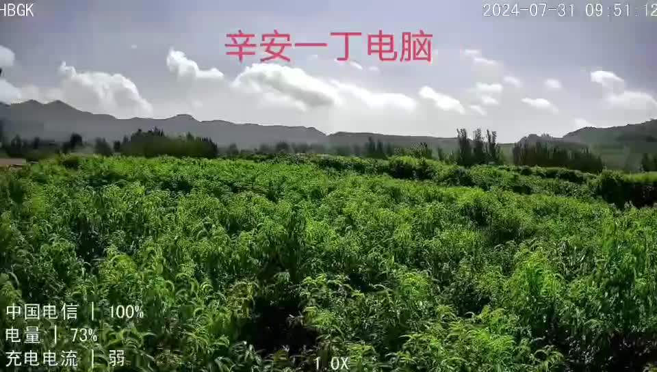 绿水青山就是金山银山哔哩哔哩bilibili