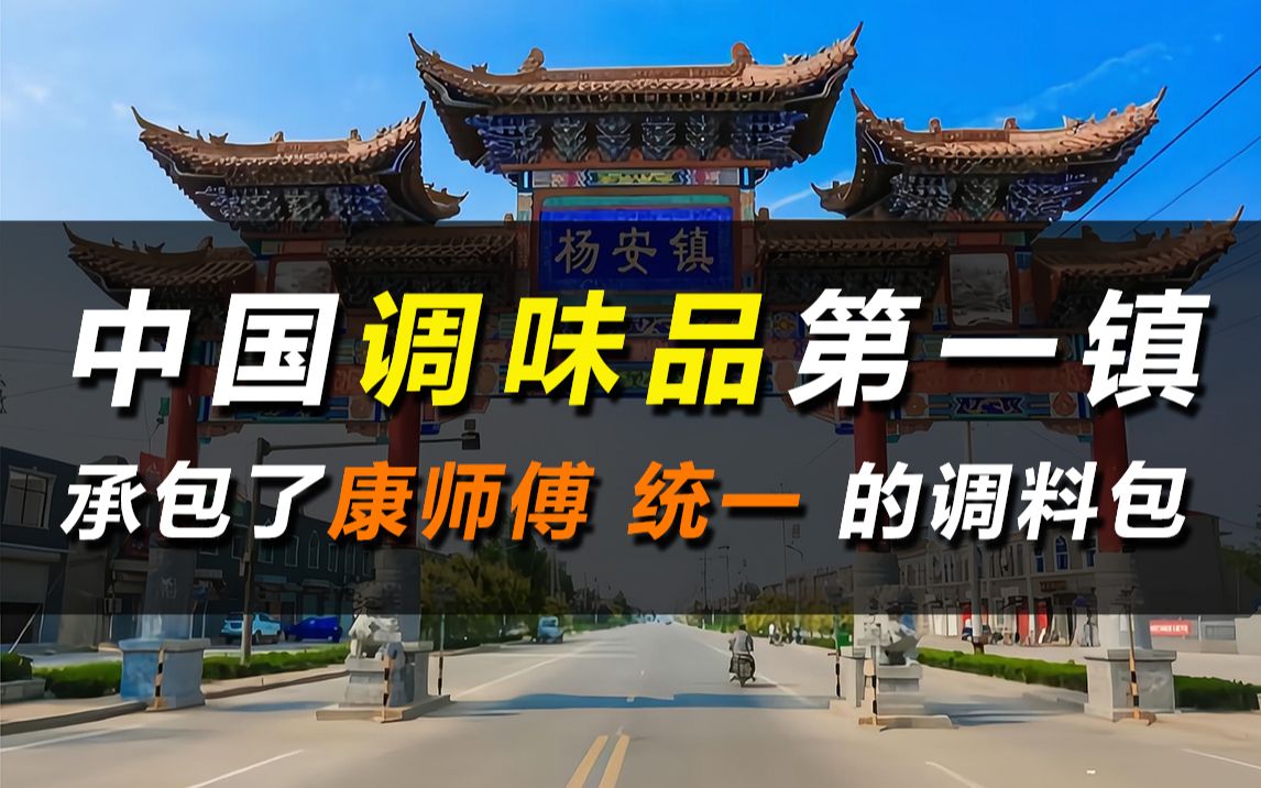 中国调味品第一镇!承包了康师傅、统一、白象的调料包哔哩哔哩bilibili