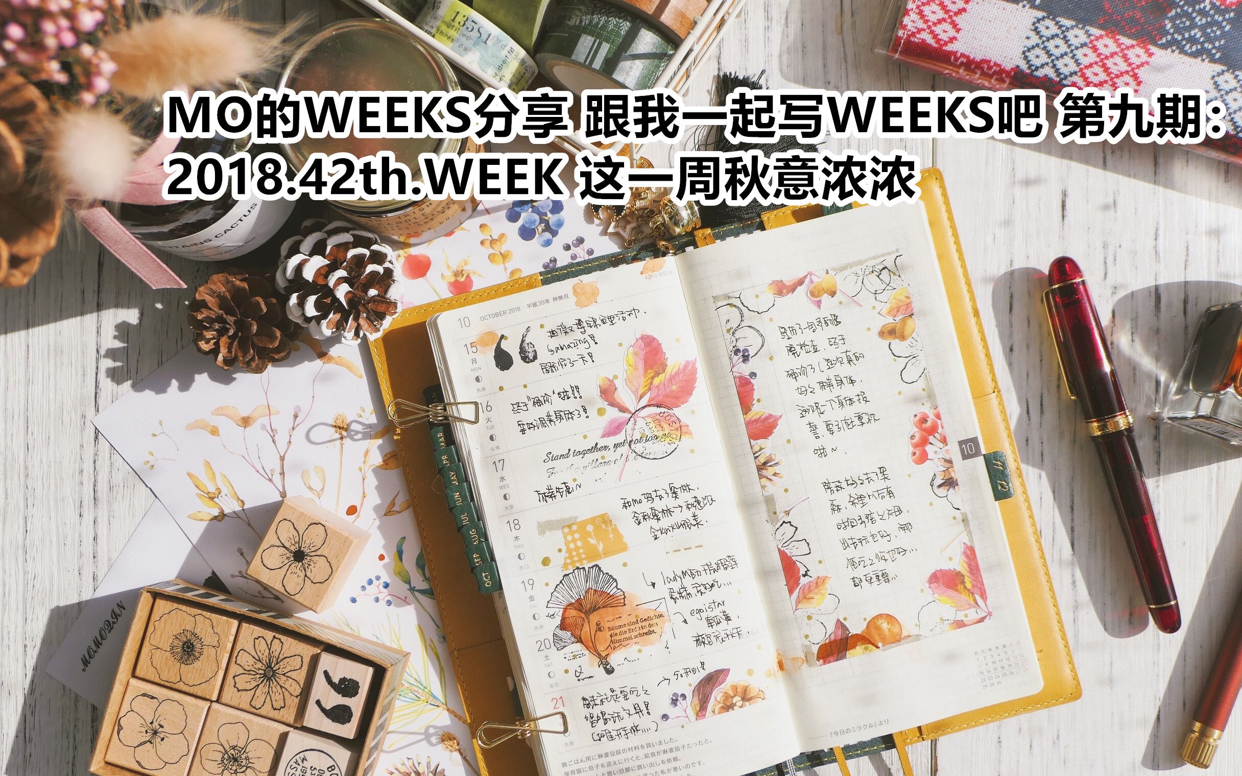 【沫沫沫沫秦】No.105 MO的WEEKS分享 跟我一起写WEEKS吧 第九期:2018.42th.WEEK 这一周秋意浓浓哔哩哔哩bilibili