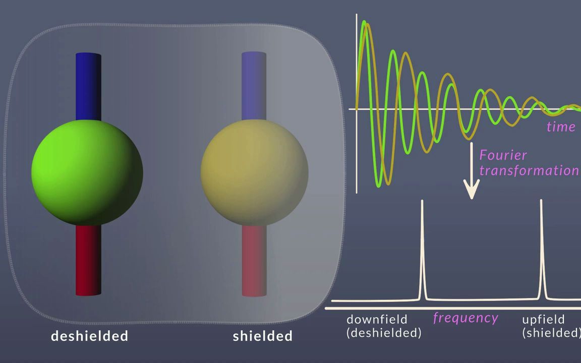 [图]可视化核磁共振---NMR spectroscopy visualized