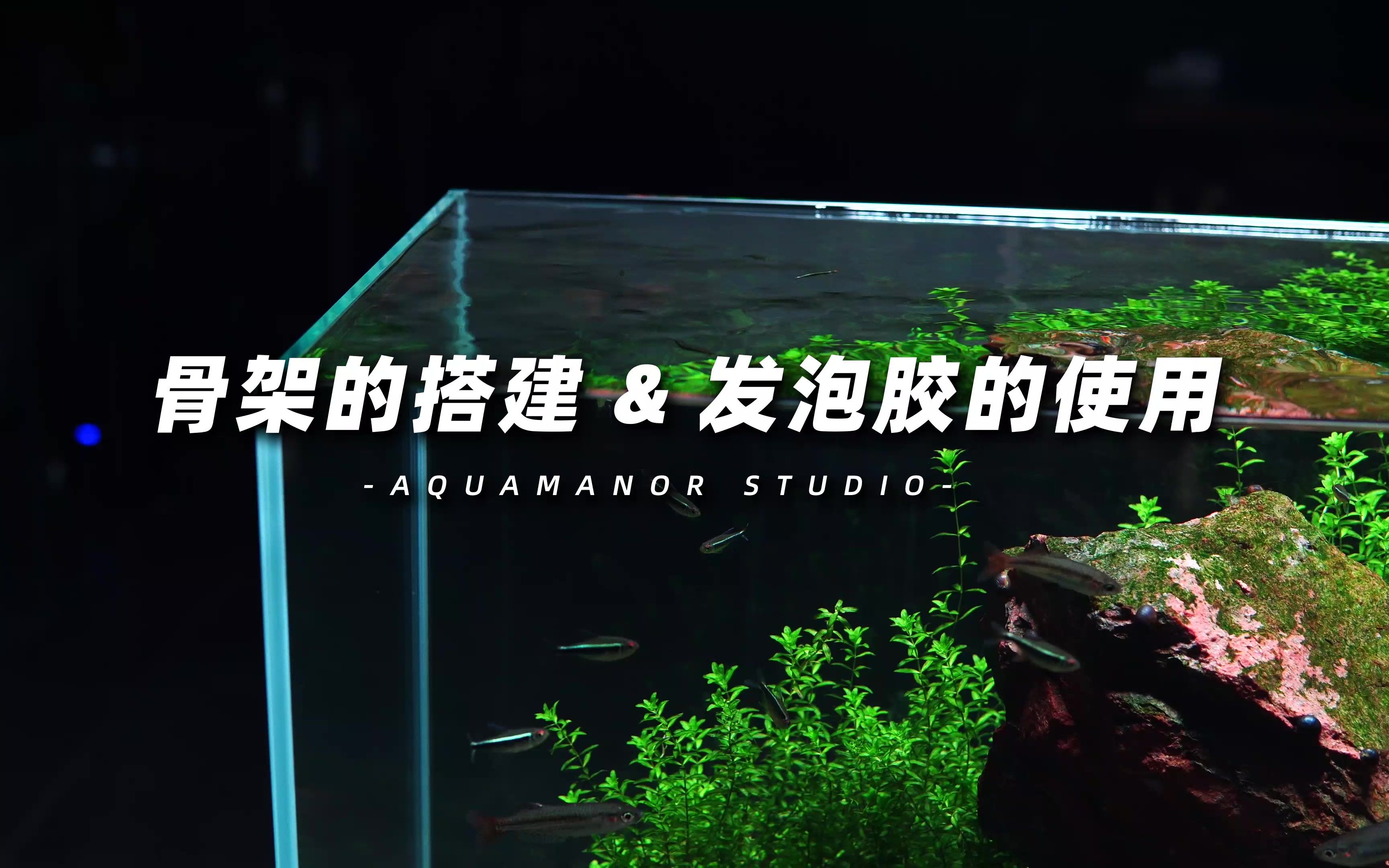 水族骨架搭建以及发泡胶的使用分享哔哩哔哩bilibili