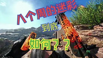 Descargar video: 【COD20】周常最终奖励迷彩-蓝图