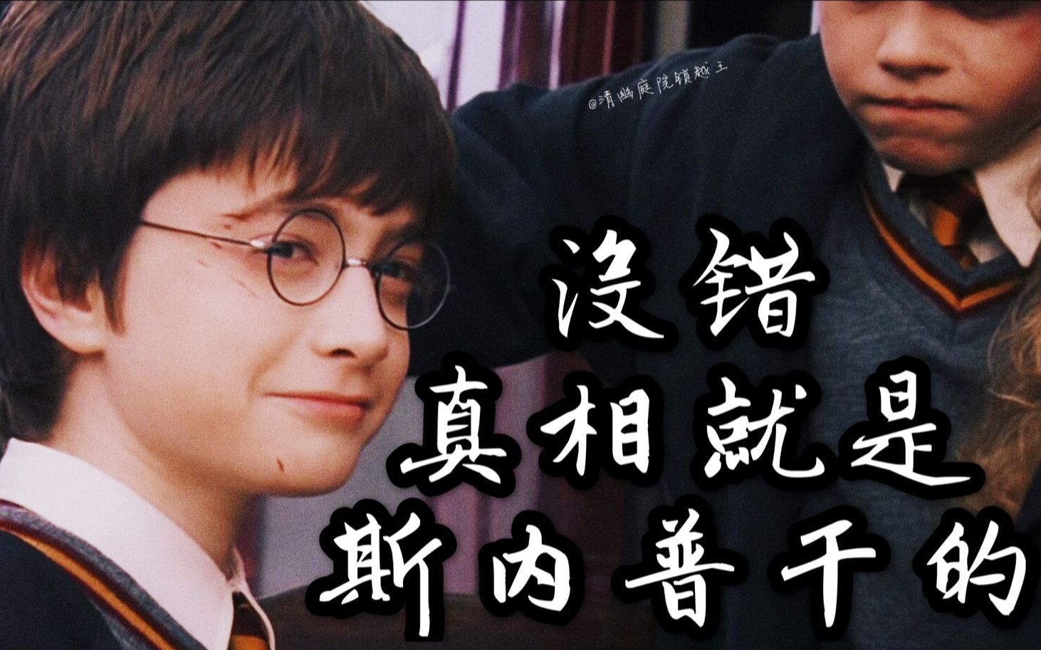 【沙雕hp】名侦探哈利波特.always snape