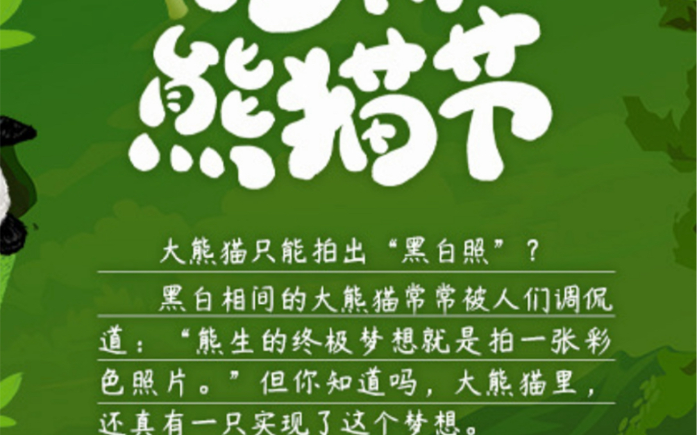 [图]国际熊猫节是中国发起拯救大熊猫的节日，定于每年的9月22日。