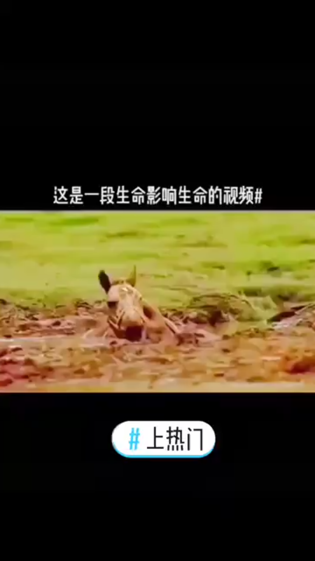 [图]这是一段影响生命的视频