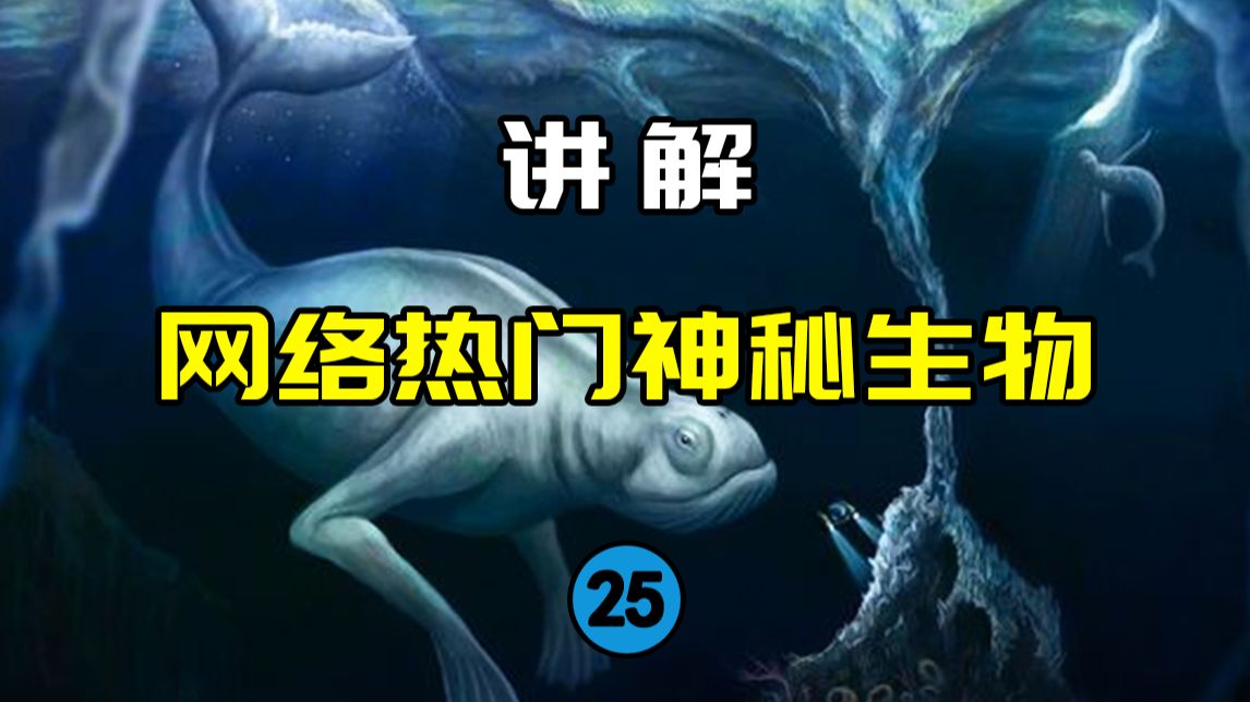 【网络热门神秘生物25】日本政府培育的半人半鲸生物?南极深海的宁根究竟是什么?哔哩哔哩bilibili