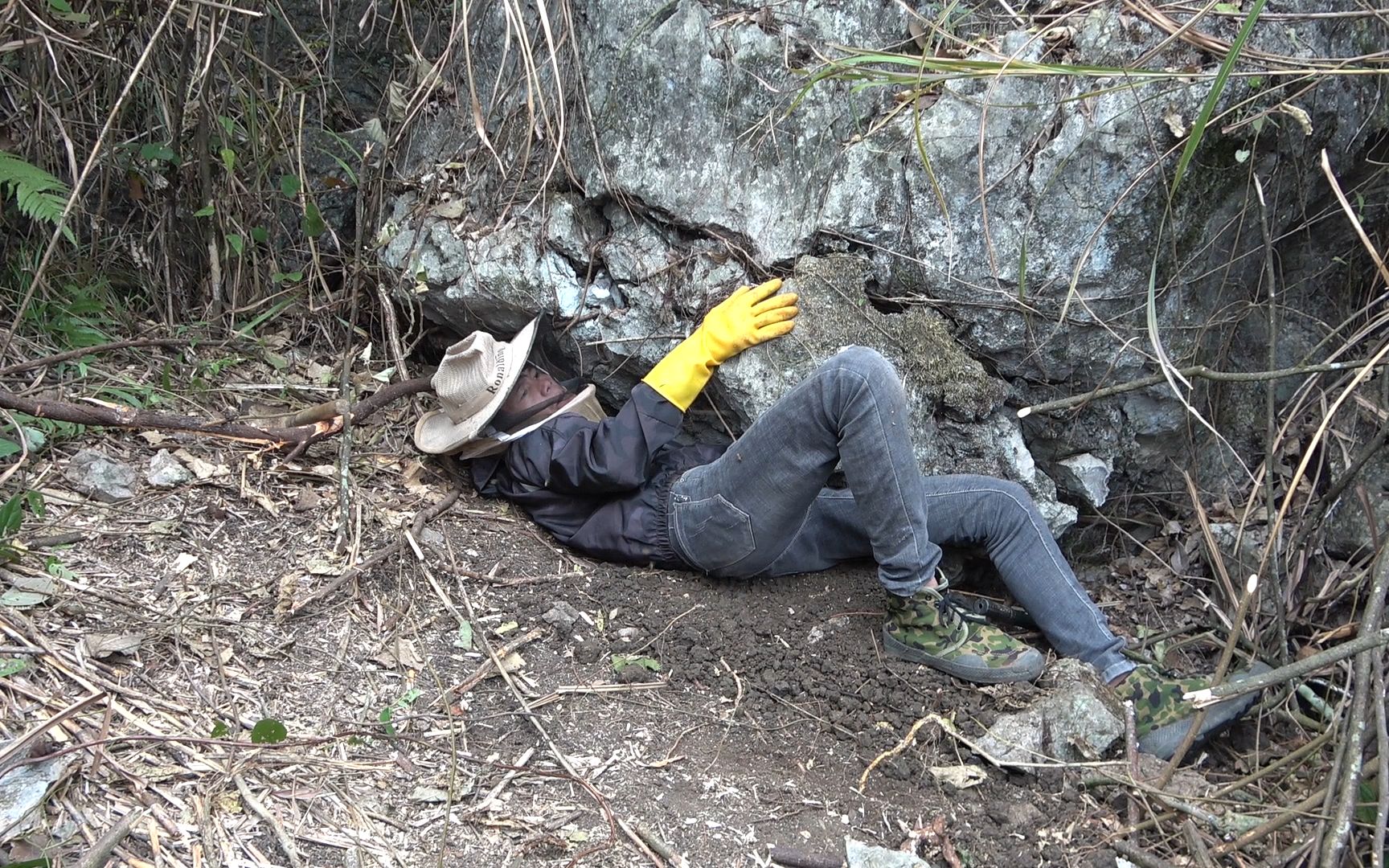 [图]小明上山采蜂蜜，沿着“蜂路”一路狂追到半山腰，最后可惜了