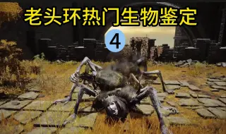 Descargar video: 交界地热传艾尔登法环生物鉴定