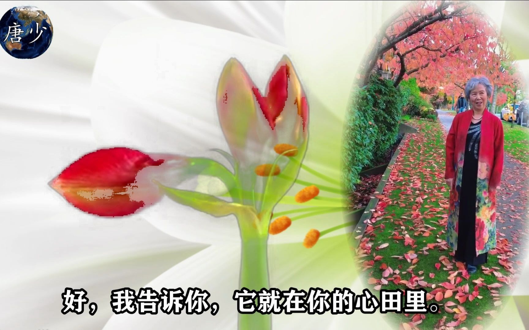 [图]场景朗诵《心田上的百合花》