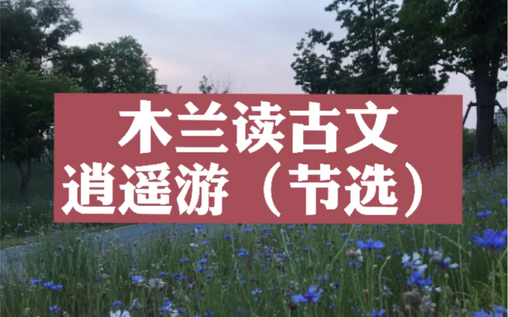 [图]木兰读古文01-逍遥游（节选）-北冥有鱼，其名为鲲。鲲之大，不知其几千里也。