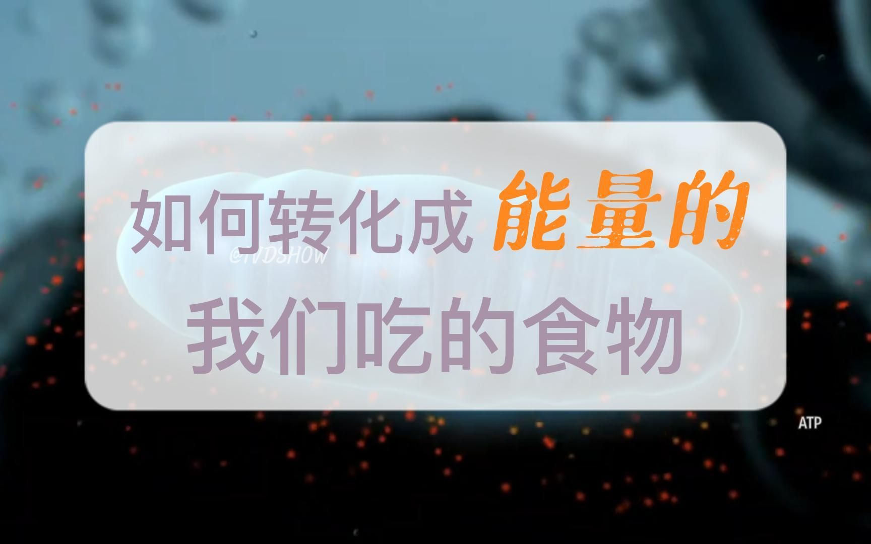 我们吃的食物是如何转化成能量的?线粒体如何提供能量?哔哩哔哩bilibili