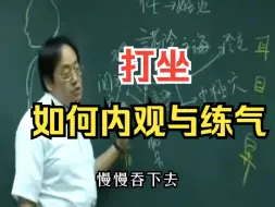 下载视频: 倪师讲打坐，如何内观，练气。