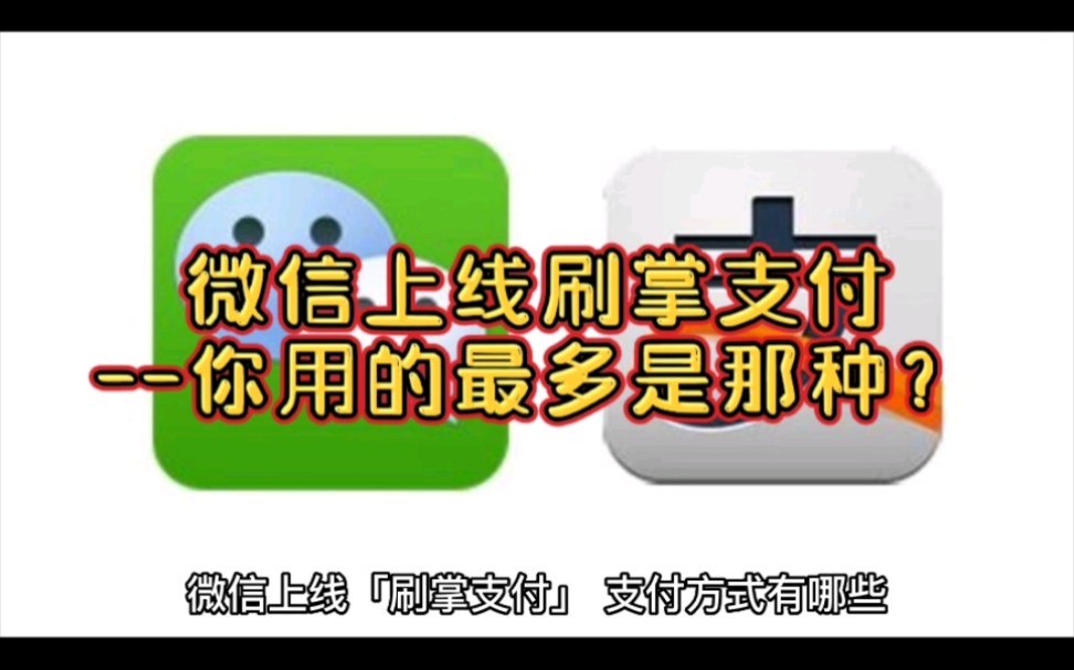 微信上线刷掌支付,支付方式有哪些,一起来围观!哔哩哔哩bilibili