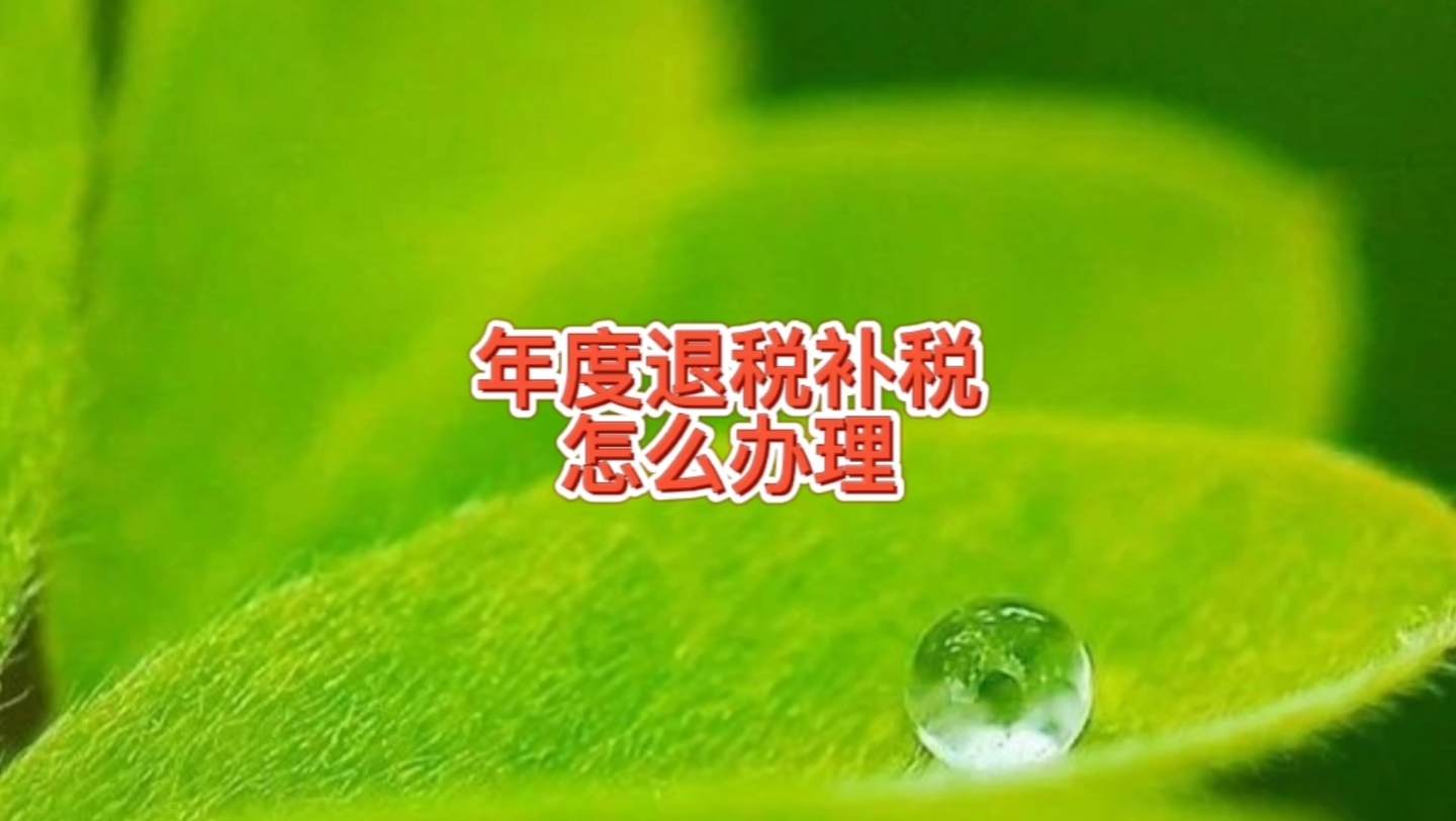 个税年度退税补税怎么办理,哪些人需要申请退税,增加了哪些抵扣哔哩哔哩bilibili