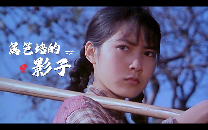 毛阿敏怀旧金曲《篱笆墙的影子》歌词句句感人,唱尽生活苦辣辛酸