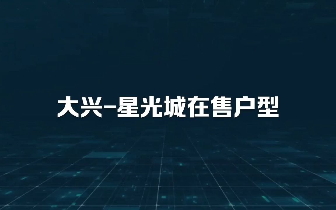 [图]大兴星光城在售户型