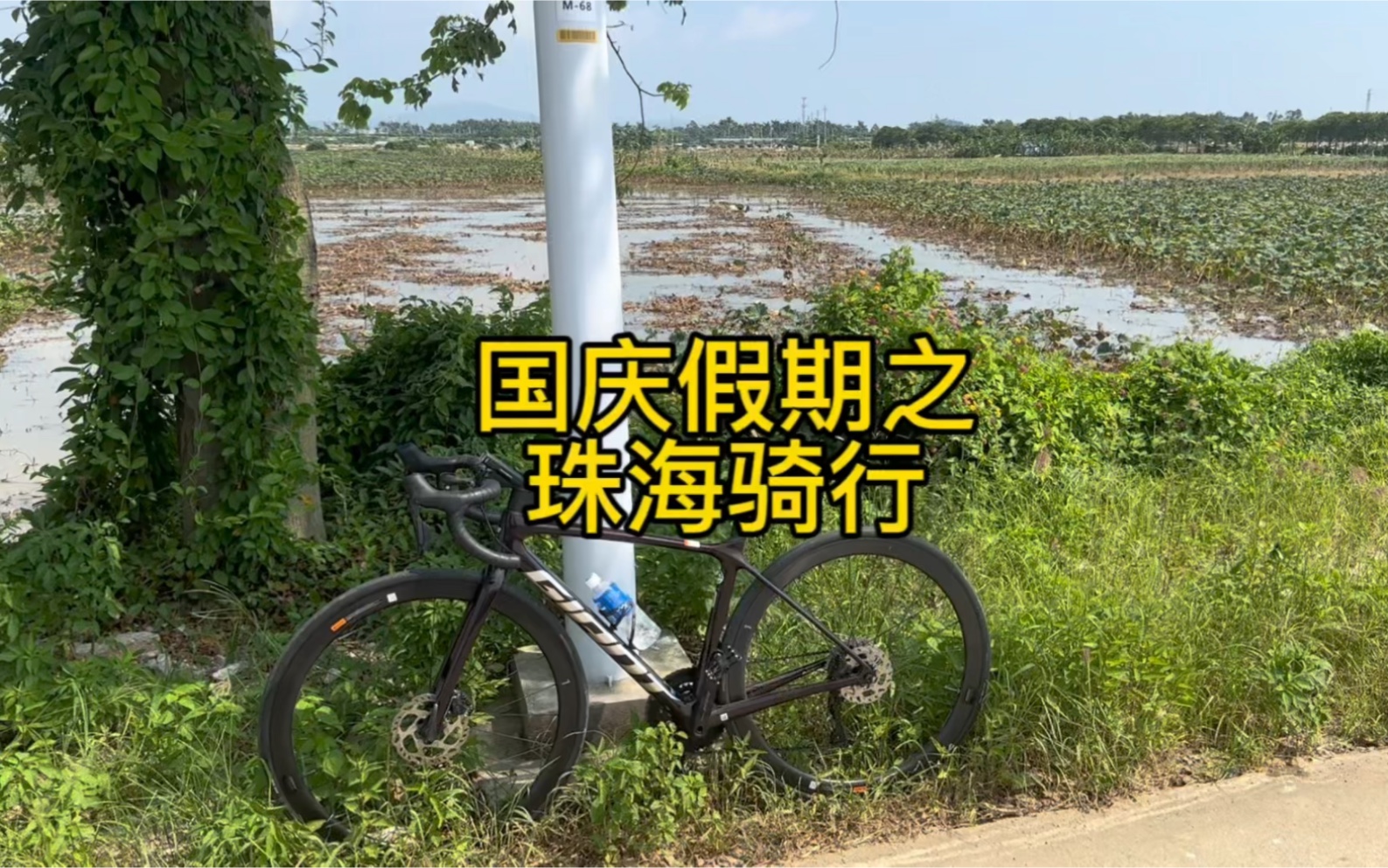 TCR|佛山南海到广州珠海的153km骑行哔哩哔哩bilibili