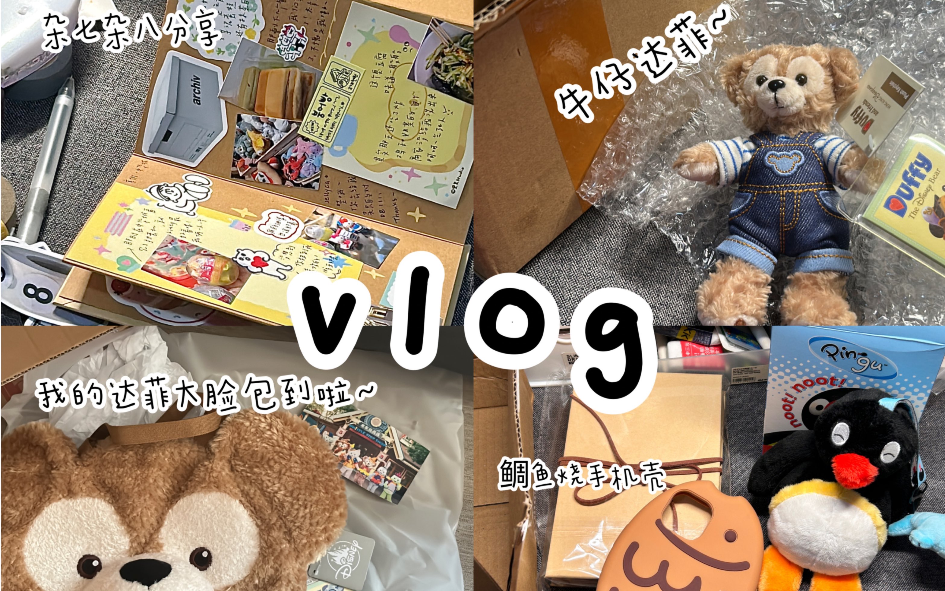  vlog 