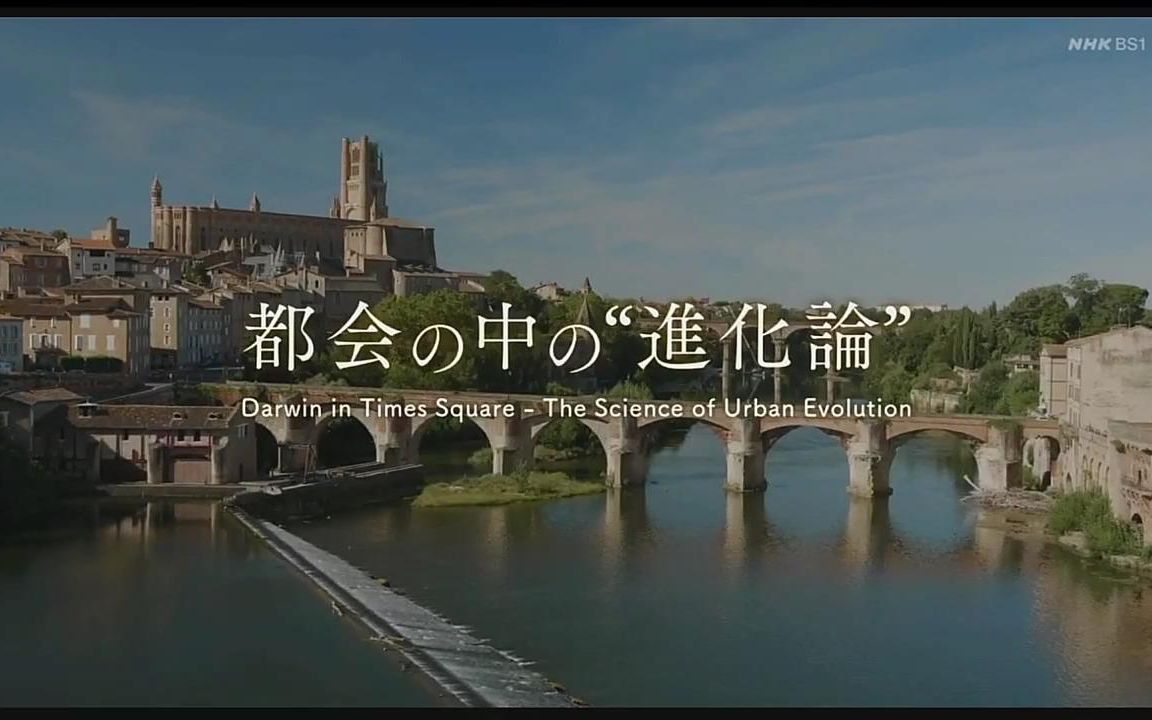 [图]【日语学习】NHK 都市中的进化论